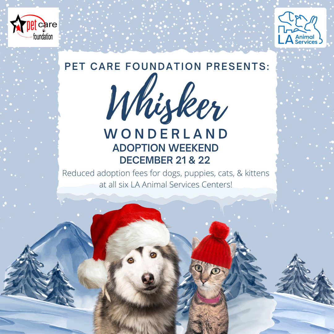 December Reduced Adoption Fee Weekends