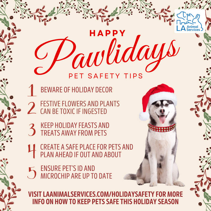 Holiday Pet Safety Tips