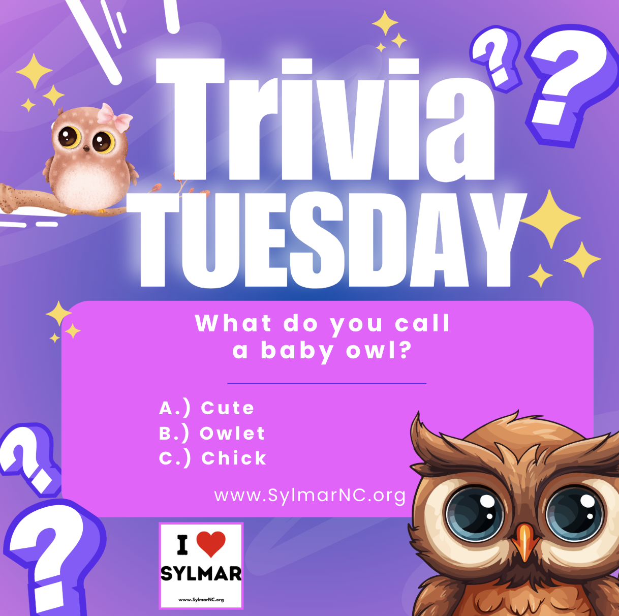 Sylmar's Trivia Tuesday • February 18th, 2025