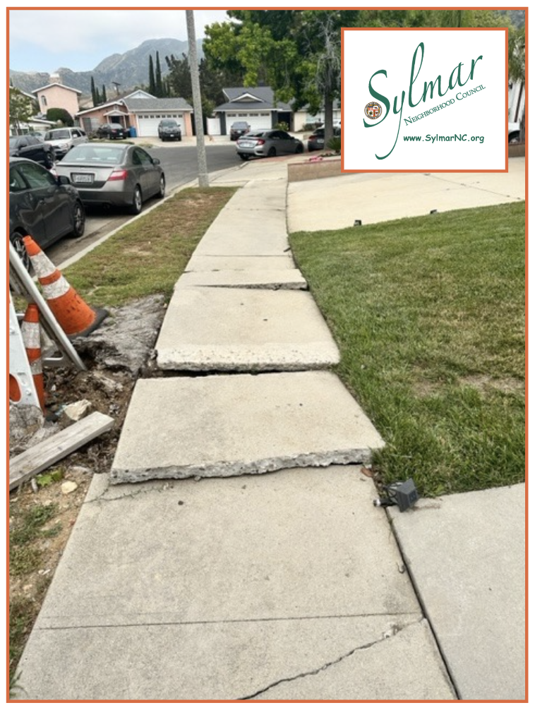 Sidewalk Repair • Open for Public Comments