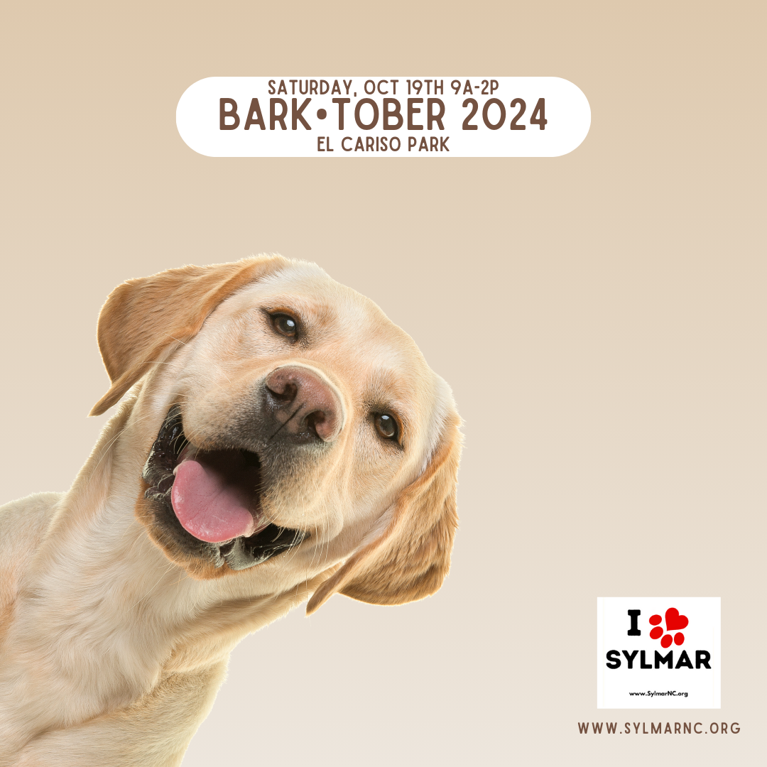 SATURDAY, Oct. 19th, • BARK-TOBER