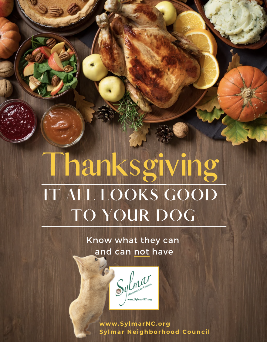 Do's and Dont's • Thanksgiving Foods • Dogs