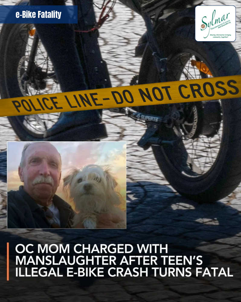 Mom charged with manslaughter after teen’s illegal e-motorcycle crash turns fatal