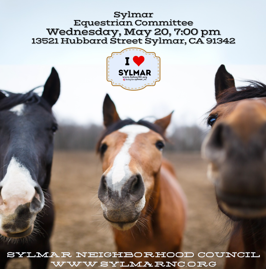 Equestrian Committee - Wednesday, May 20th, 7pm