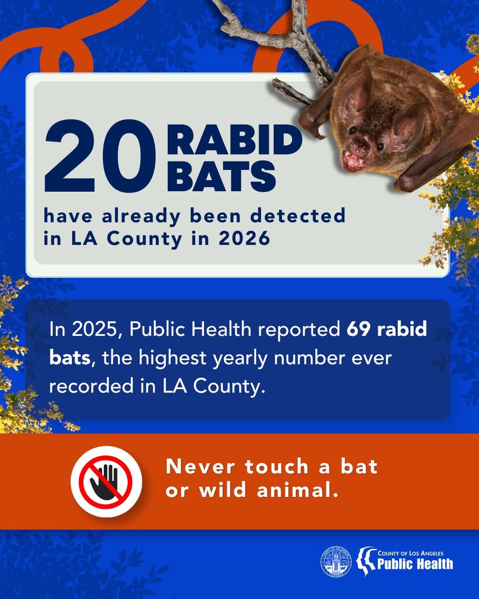 20 rapid bats in LA County