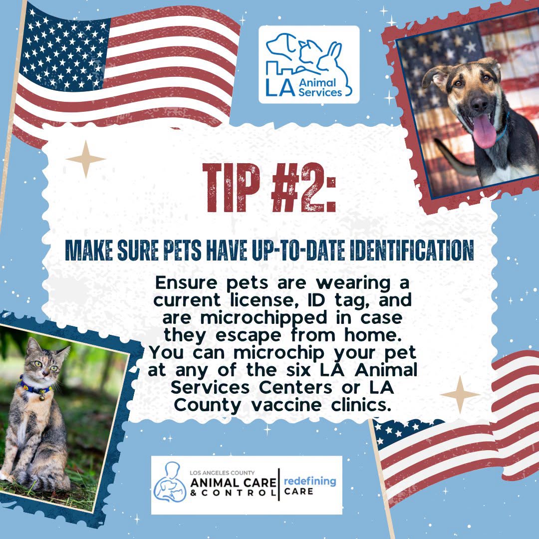 Make sure pets have Up-To-Date identification