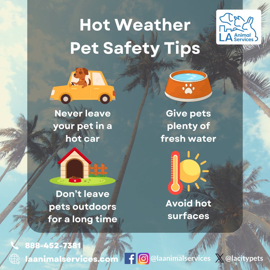 When it’s too hot for you, it’s even hotter for our pets.
