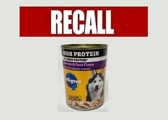 FDA Announces Recall of Popular Dog Food Over Possible “Foreign Material” Contamination