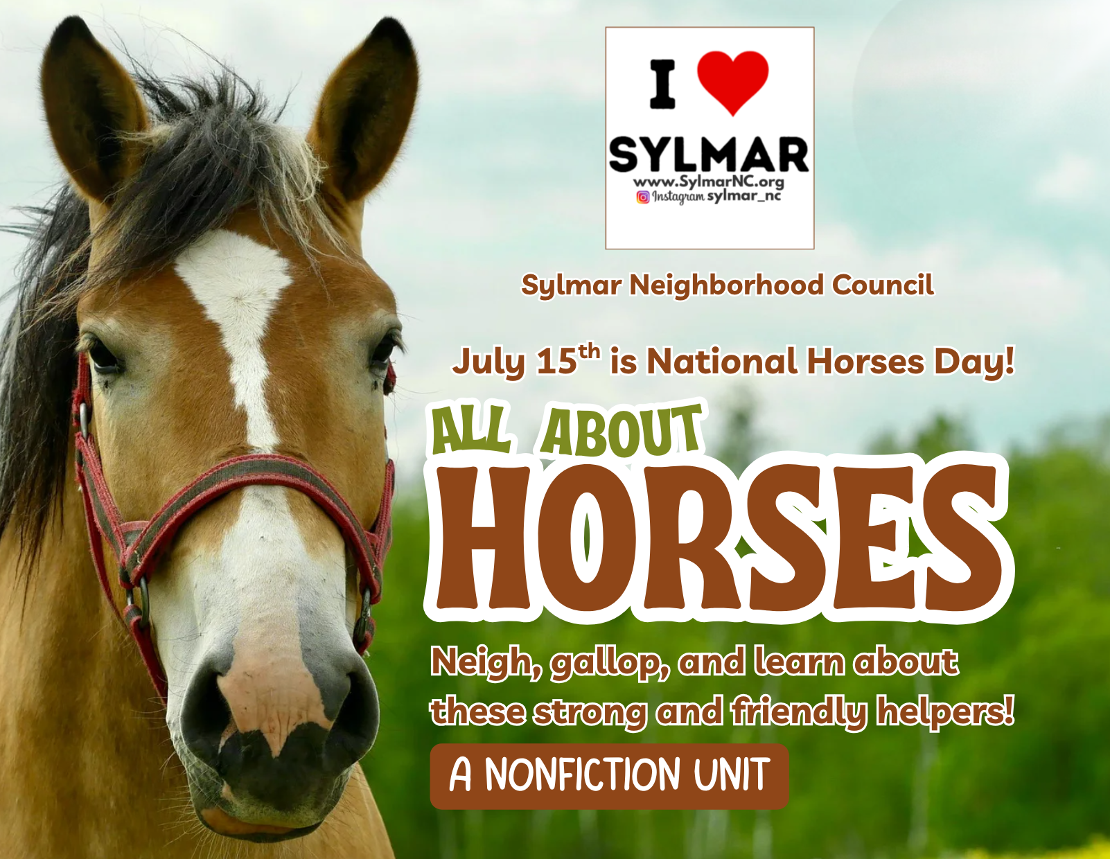 Today is National Horses Day!