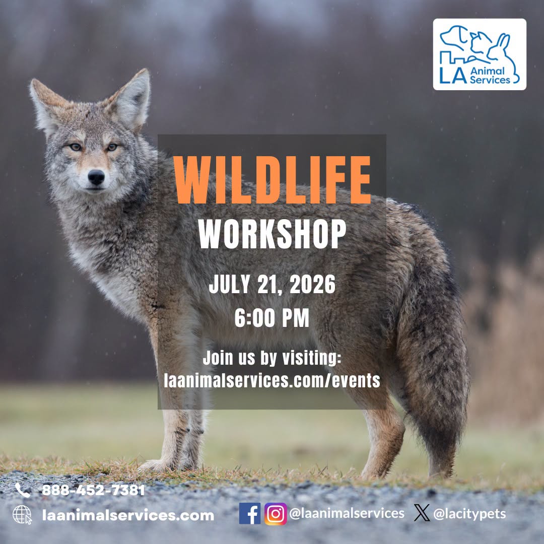Learn how to safely coexist with wildlife in your neighborhood!