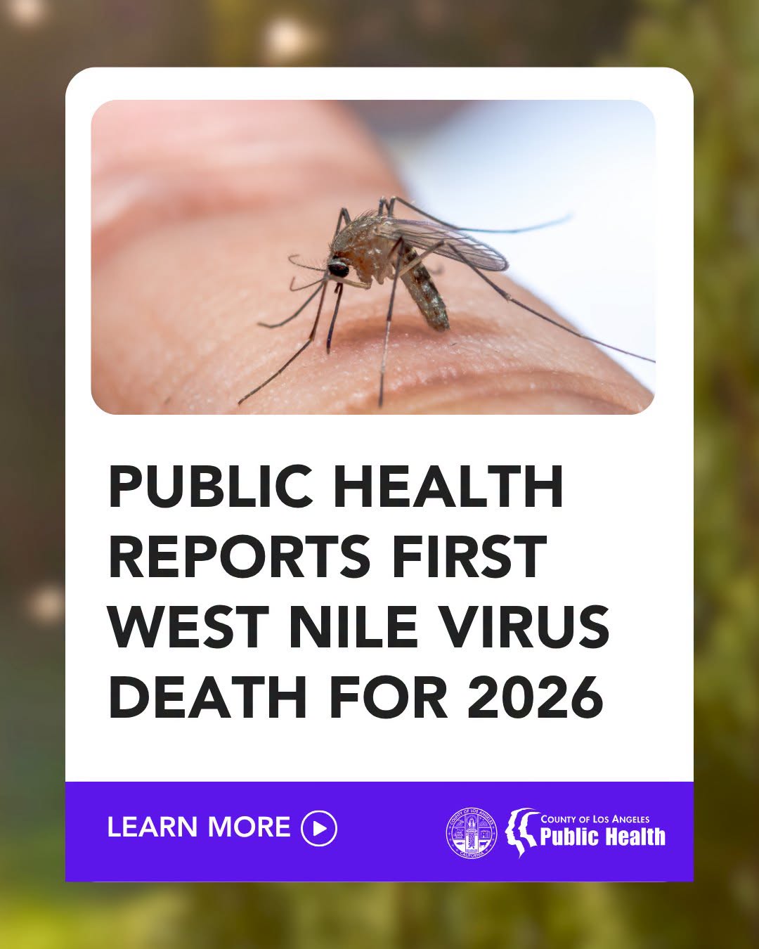 Public Health is reporting the first West Nile virus death of 2026.  San Fernando Valley