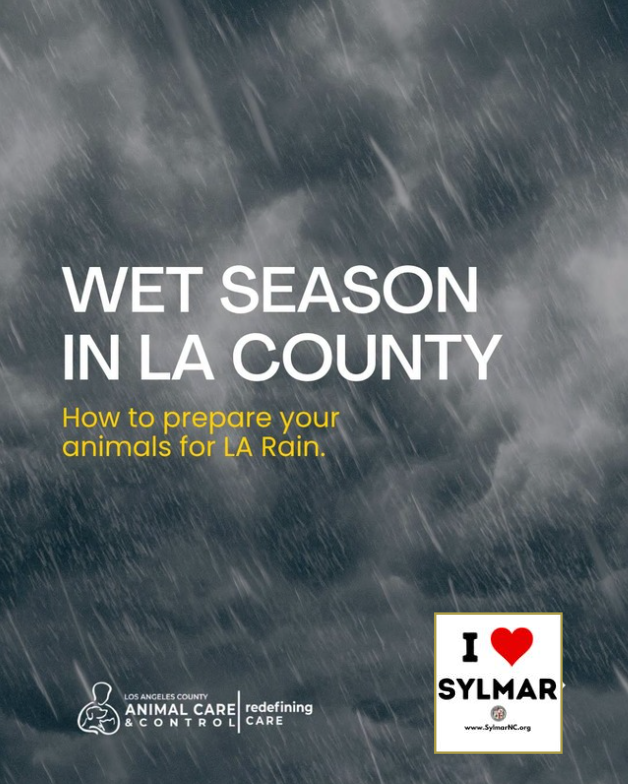 Wet weather is on its way, and now is the time to make sure your pets are ready!