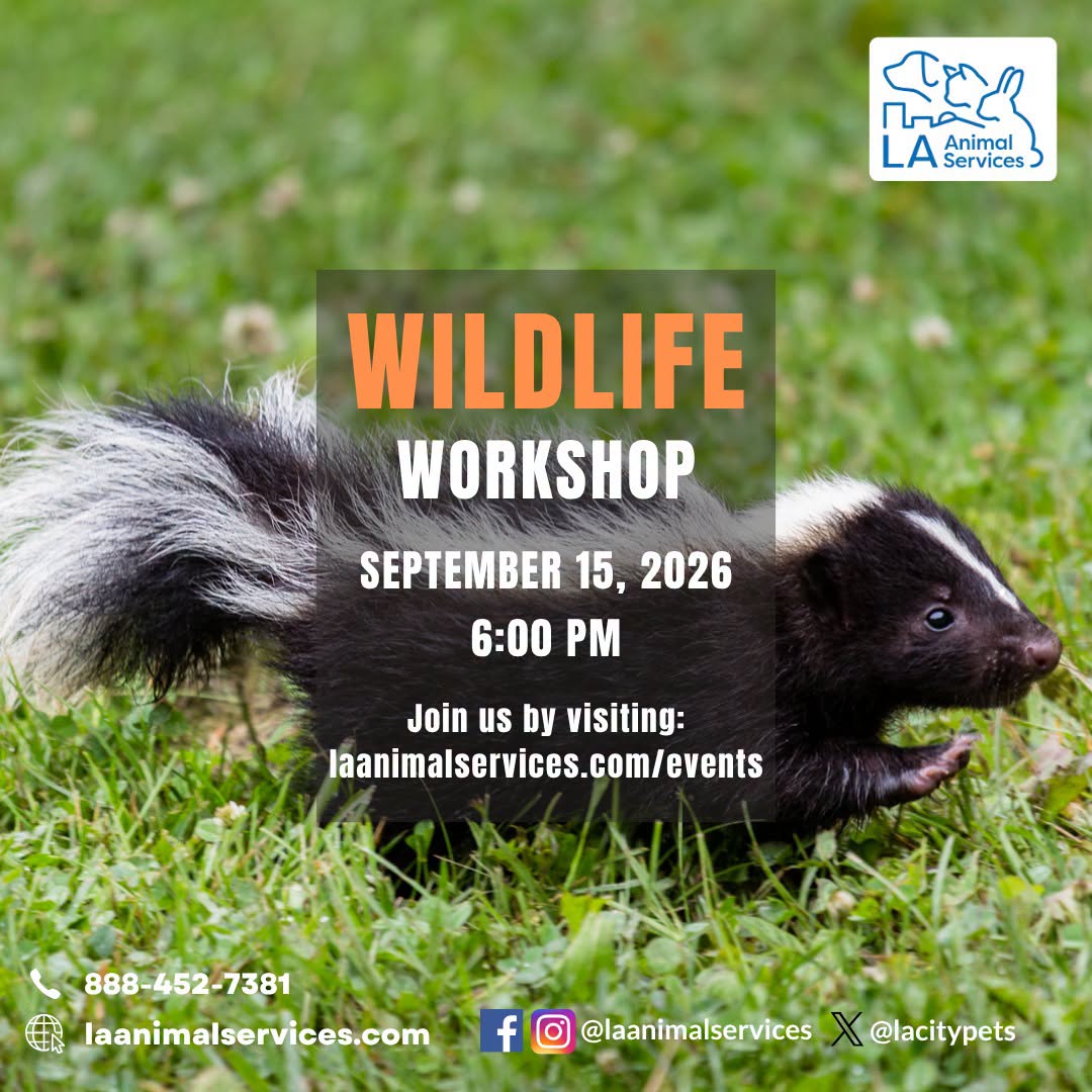 Wildlife Workshop on Tuesday, September 15th at 6 PM