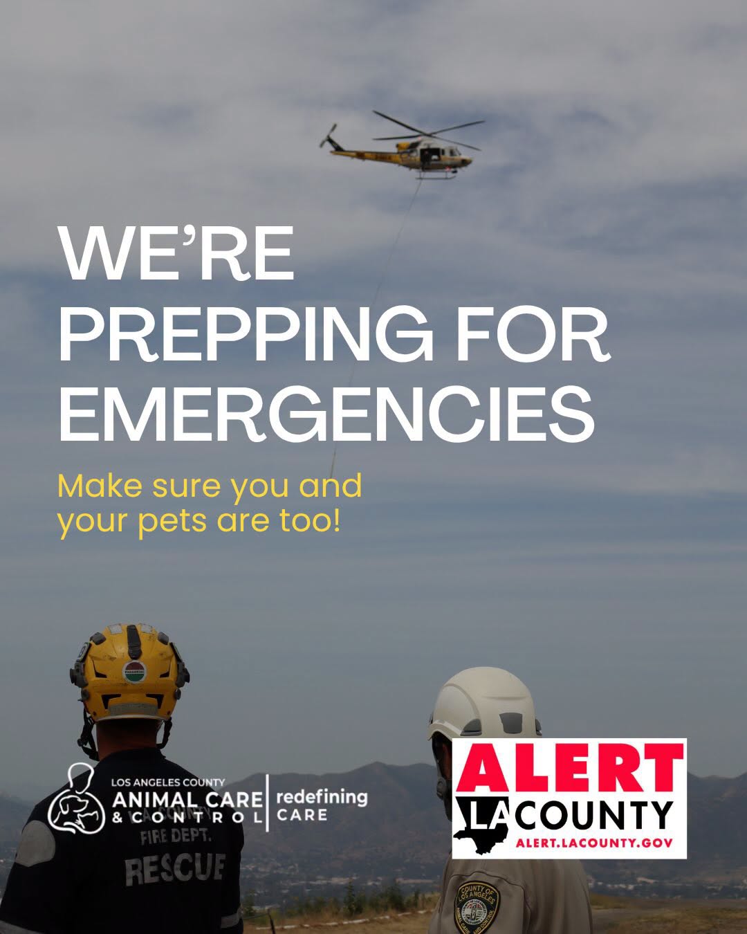 County of Los Angeles Department of Animal Care and Control