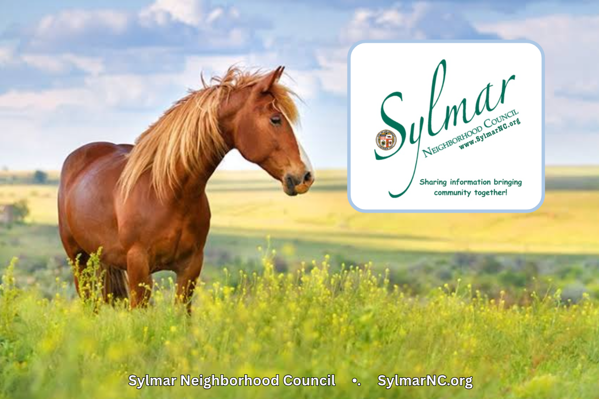 Thank you Congresswoman Luz Rivas from Sylmar's Equestrian Community!