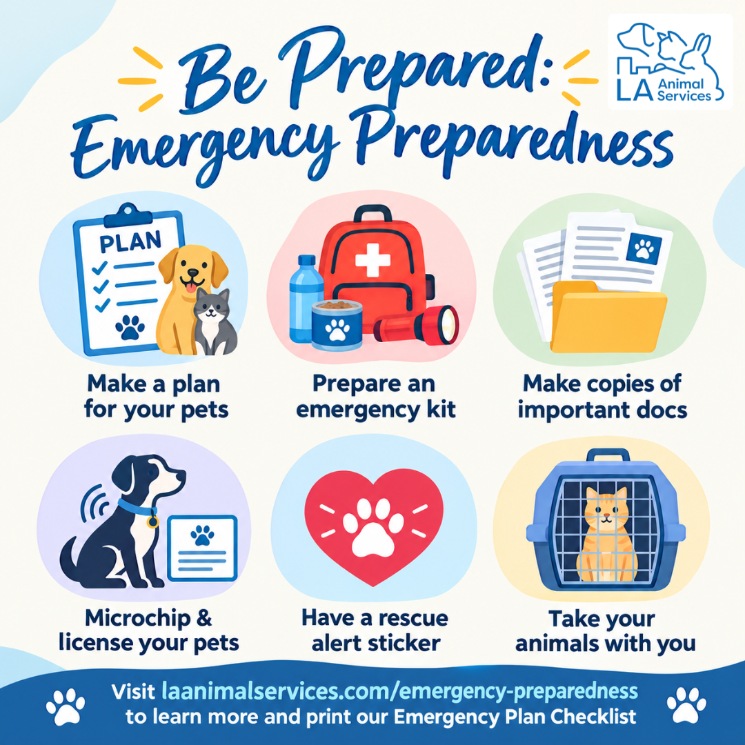 National Emergency Preparedness Month