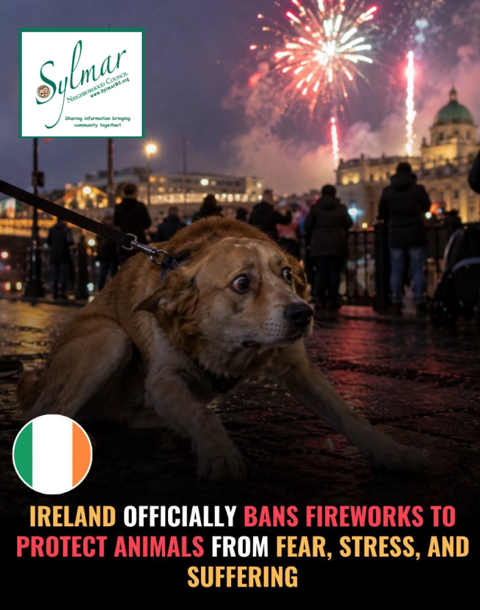 Ireland Bans Fireworks
